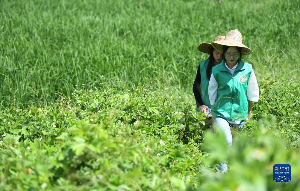 宝利游戏客服电话